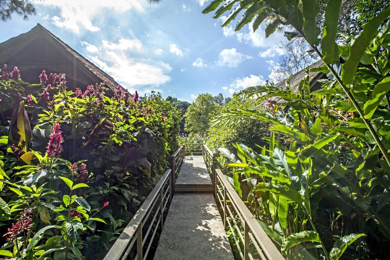 Khaokhoherbary Organicfarm&Resort 카오코 외부 사진