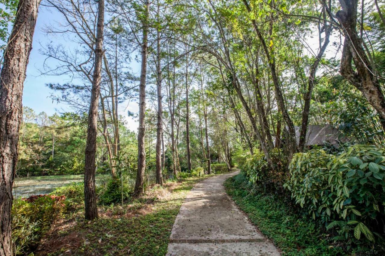 Khaokhoherbary Organicfarm&Resort 카오코 외부 사진
