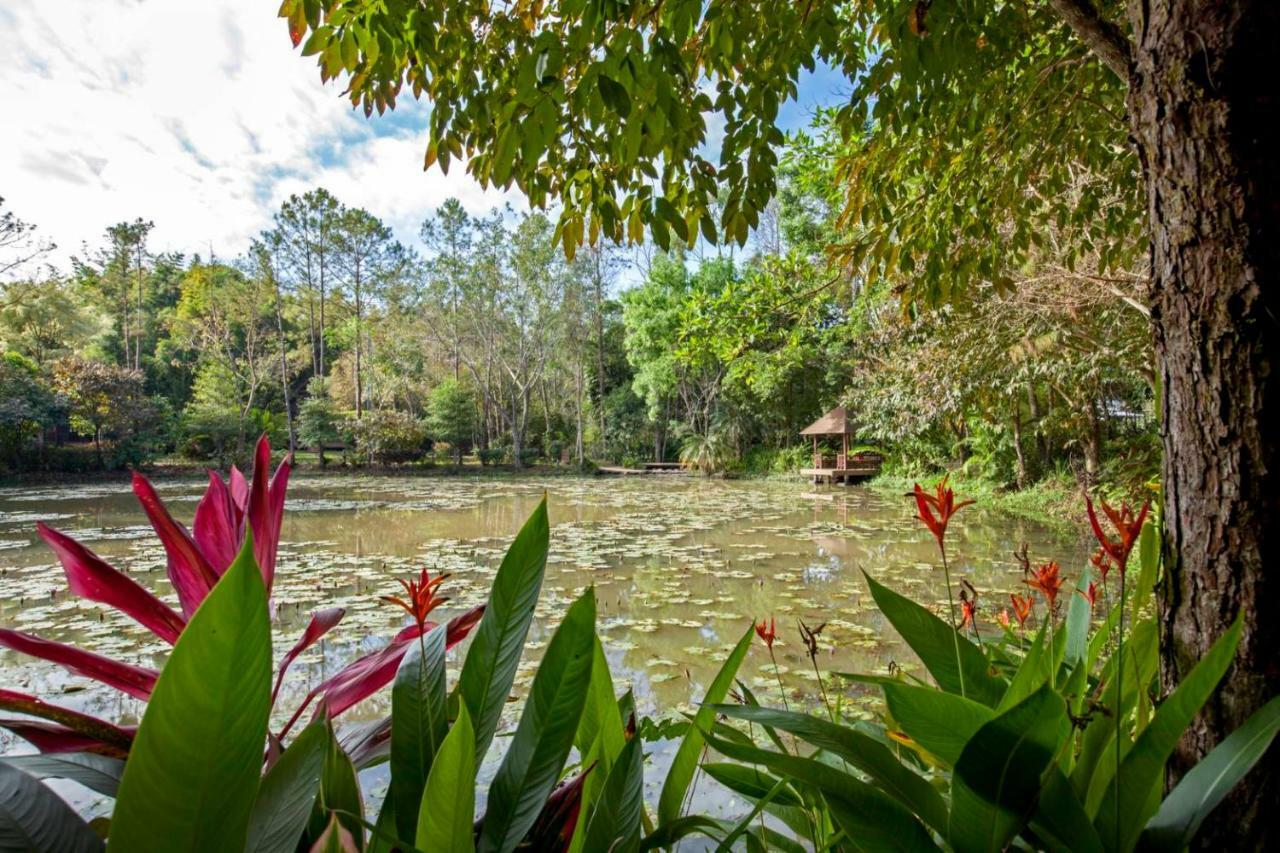 Khaokhoherbary Organicfarm&Resort 카오코 외부 사진