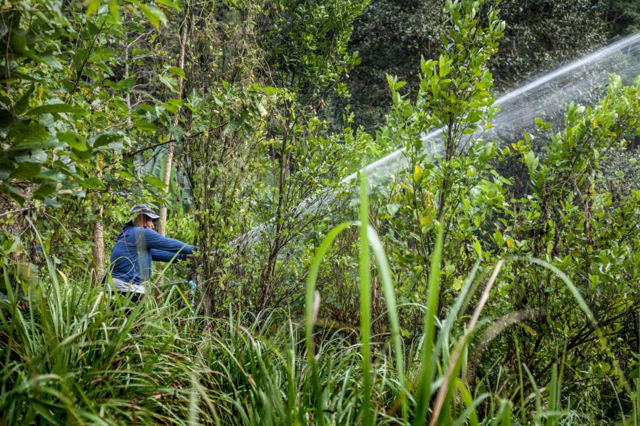 Khaokhoherbary Organicfarm&Resort 카오코 외부 사진